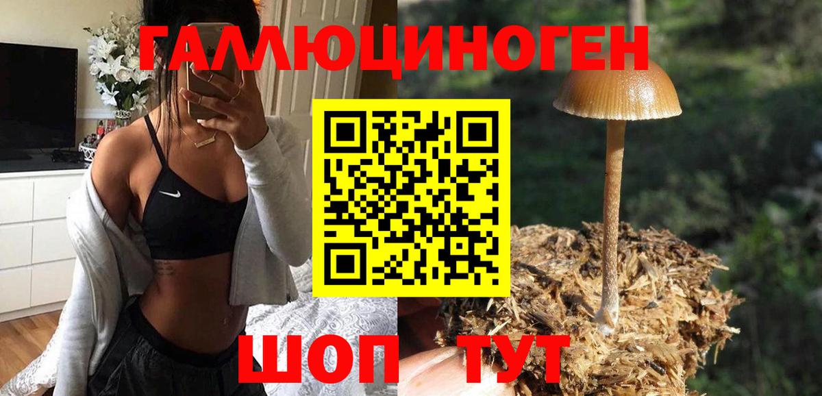Знаменск  Псилоцибиновые грибы Magic Shrooms  Вход с VPN 