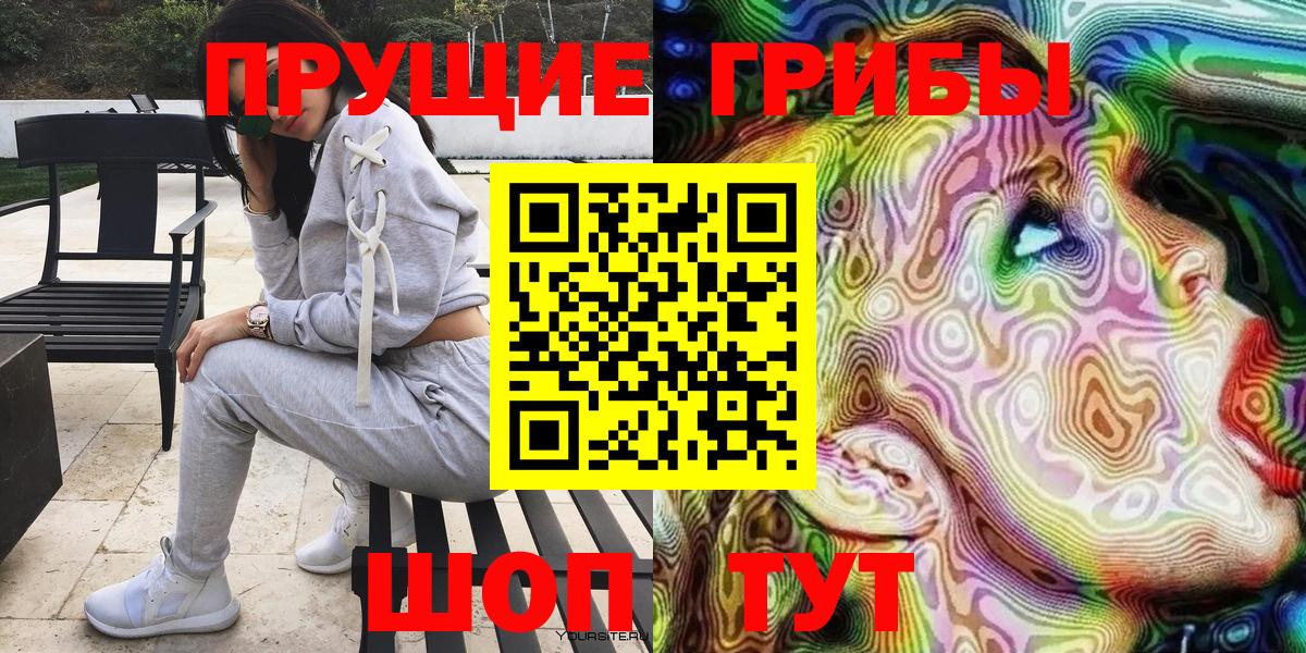Псилоцибиновые грибы Psilocybe Знаменск